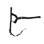 Voir l’image dans la galerie, COASTAL WALK'N TRAIN Licol Nylon #4 XL Noir