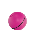 Voir l’image dans la galerie, Riga - Jouet Led Crazyroll pour Chats