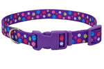 Voir l’image dans la galerie, PET ATTIRE STYLES Collier Nylon 5/8x10-14" SPW