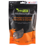 Voir l’image dans la galerie, DEFINE PLANET Gâteries Chien Citrouille & Carotte Infusés de Grillon 170g