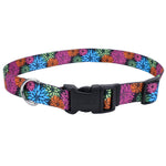 Voir l’image dans la galerie, PET ATTIRE STYLES Collier Nylon 1x18-26" WDF