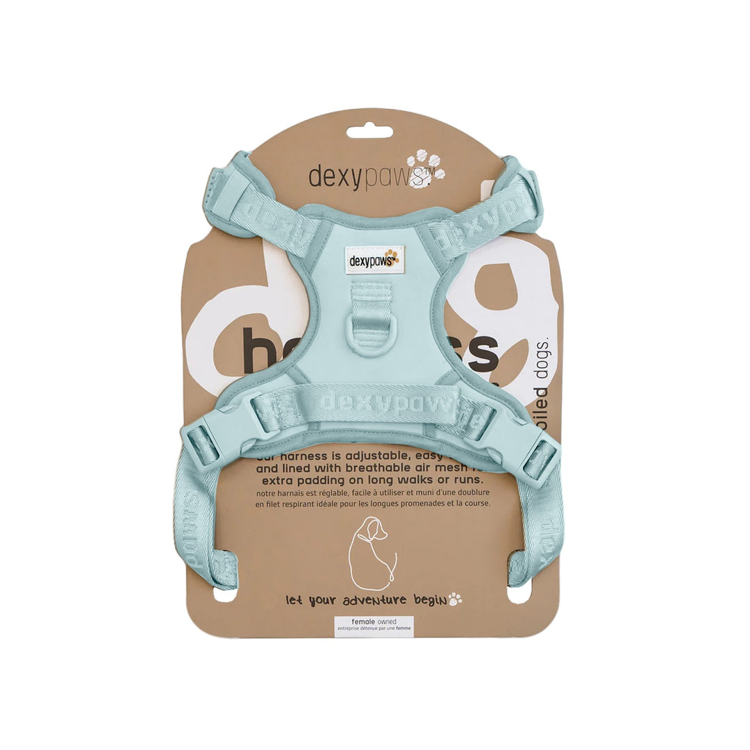 DEXYPAWS Harnais Sans Traction Bleu Ciel S