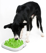 Voir l’image dans la galerie, SAVIC Bol Interactif Enigma #20 L