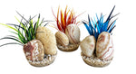 Voir l’image dans la galerie, SYDECO Plante Deco Roche Arc en Ciel 14cm pour Aquarium