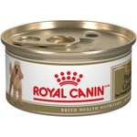 Voir l’image dans la galerie, ROYAL CANIN Chien Caniche, Pâté en Sauce 85g