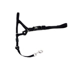 Voir l’image dans la galerie, COASTAL WALK'N TRAIN Licol Nylon #3 L Noir