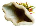 Voir l’image dans la galerie, SYDECO Plante Deco Abris Marins 16cm pour Aquarium
