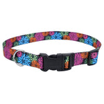 Voir l’image dans la galerie, PET ATTIRE STYLES Collier Nylon 3/8x8-12" WDF