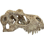Voir l’image dans la galerie, KOMODO Crâne de Rapace T-Rex, Grand pour Reptiles