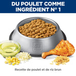 Voir l’image dans la galerie, Hill's Science Diet - Digestion Parfaite (Perfect Digestion), Poulet et Riz Brun - Nourriture Sèche pour Chiens Adultes 7+ Ans