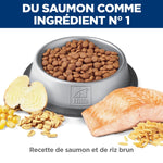 Voir l’image dans la galerie, Hill's Science Diet - Digestion Parfaite (Perfect Digestion), Saumon et Riz Brun - Nourriture Sèche pour Chats Adultes 1-6 Ans