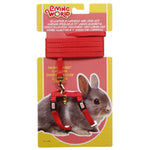Voir l’image dans la galerie, LW Laisse 48" & Harnais Lapin Nain Rouge