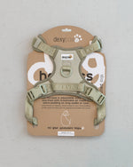 Voir l’image dans la galerie, Dexypaws - Harnais Imperméable - Harnais Sans Traction pour Chiens