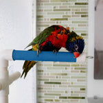 Voir l’image dans la galerie, *ACTIVE PLAY Perchoir Repliable Perroquets Taille Moyenne
