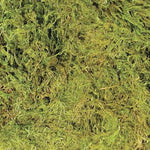 Voir l’image dans la galerie, ZOO MED Mousse Terrarium 10G pour Reptiles