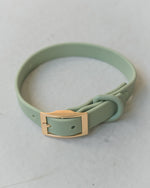 Voir l’image dans la galerie, Dexypaws - Collier Imperméable - Collier pour Chiens