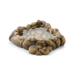 Voir l’image dans la galerie, EXO TERRA Bol Coin à Eau M pour Reptiles