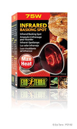 Voir l’image dans la galerie, EXO TERRA Ampoule 75W Infrarouge R20 pour Reptiles