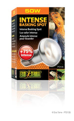 Voir l’image dans la galerie, Exo Terra - Ampoule-Spot de Lézardage Intense - Éclairage pour Terrariums