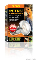 Voir l’image dans la galerie, Exo Terra - Ampoule-Spot de Lézardage Intense - Éclairage pour Terrariums