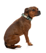 Voir l’image dans la galerie, FUZZYARD Life Collier Vert XS