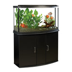 Voir l’image dans la galerie, FLUVAL 45 Bow Aquarium Équipé/DEL 45G