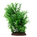 Voir l’image dans la galerie, FLUVAL Plante Petite Helxine 8" pour Aquarium