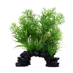 Voir l’image dans la galerie, FLUVAL Plante Hottonie à Pointes Blanches 8" pour Aquarium