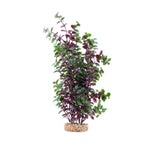 Voir l’image dans la galerie, FLUVAL Plante Bacopa Rouge 14" pour Aquarium