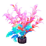 Voir l’image dans la galerie, *MARINA iGlo Plantes 5.5" PP1010 pour Aquarium