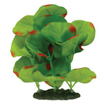 Voir l’image dans la galerie, *MARINA Plante Lysimaque Nummulaire Verte 5-6" pour Aquarium