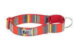 Voir l’image dans la galerie, RCP Collier Dressage Sangle Motif L Multi-Rayures