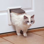 Voir l’image dans la galerie, Petsafe - Porte à 4 Positions de Verrouillage - Porte pour Chats