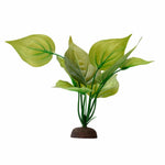 Voir l’image dans la galerie, FLUVAL Plante Saurure Penché 8" pour Aquarium