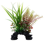 Voir l’image dans la galerie, FLUVAL Plante Sagittaire & Rotala 8" pour Aquarium
