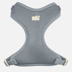 Voir l’image dans la galerie, PETITE PISTACHE Harnais Filet XXXS Gris