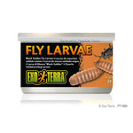 Voir l’image dans la galerie, Exo Terra - Larves de Mouches Soldats Noires en Conserve - Nourriture pour Reptiles