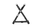 Voir l’image dans la galerie, RCP Harnais Base Step-In Base S Noir