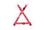 Voir l’image dans la galerie, RCP Harnais Base Step-In Base M Rouge