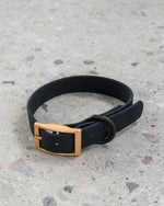 Voir l’image dans la galerie, Dexypaws - Collier Imperméable - Collier pour Chiens