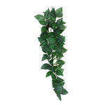 Voir l’image dans la galerie, KOMODO Plante Suspendue Sumatra 40cm pour Reptiles