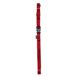 Voir l’image dans la galerie, ZEUS Laisse Nylon L 3/4x48" Rouge