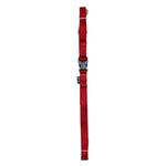 Voir l’image dans la galerie, ZEUS Laisse Nylon L 3/4x48" Rouge