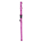 Voir l’image dans la galerie, ZEUS Laisse Nylon S 3/8x48" Fuchsia