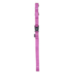 Voir l’image dans la galerie, ZEUS Laisse Nylon M 1/2x72" Fuchsia