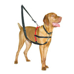 Voir l’image dans la galerie, Halti - Harnais de Contrôle Avant - Harnais pour Chiens