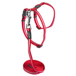 Voir l’image dans la galerie, ROGZ Chat Harnais & Laisse AlleyCat Rouge 8-12"