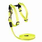 Voir l’image dans la galerie, ROGZ Chat Collier AlleyCat Jaune 8-12"