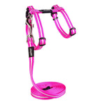 Voir l’image dans la galerie, ROGZ Chat Collier AlleyCat Rose 8-12"