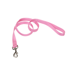 Voir l’image dans la galerie, *COASTAL Laisse Nylon Web 3/8x48" Rose Vif